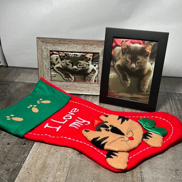 Other - Cat Lovers Assortment 2 pictures and 1 Cat Christmas Stocking